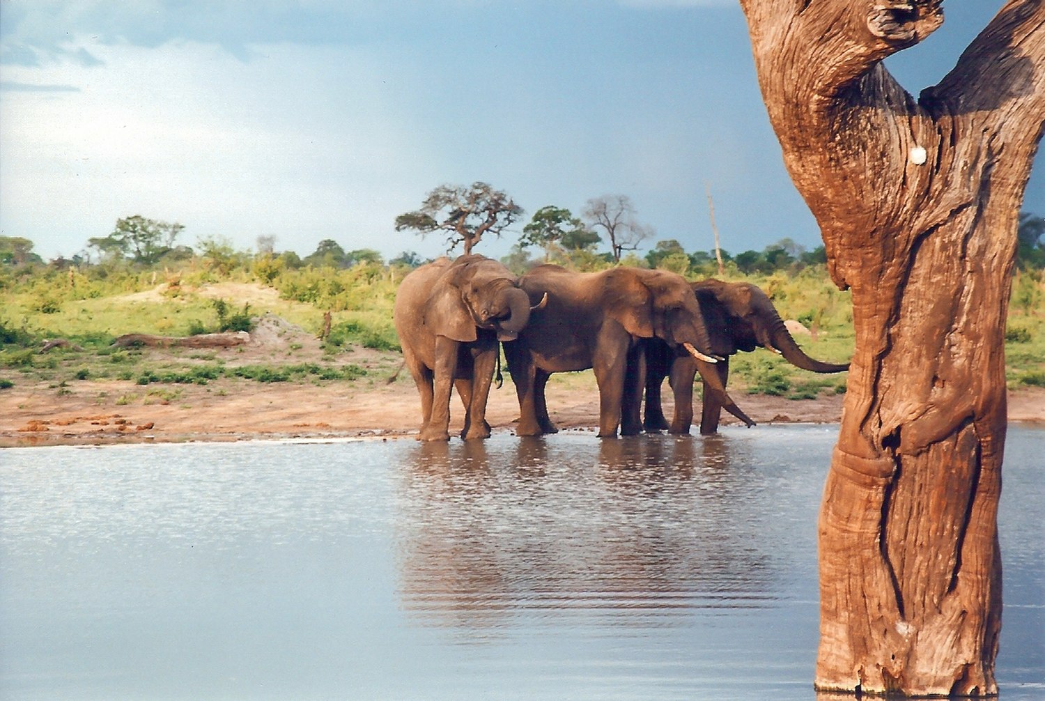 VICTORIA FALLS  & PARCO HWANGE  - PACCHETTO 5 NOTTI